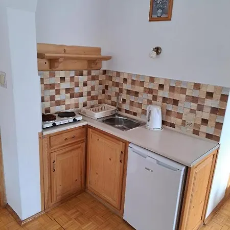 Goscinne U Haliny Апартаменты *