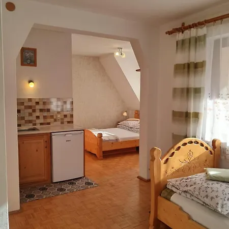 Goscinne U Haliny Apartmán Kościelisko