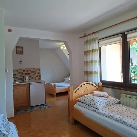 Goscinne U Haliny Апартаменты